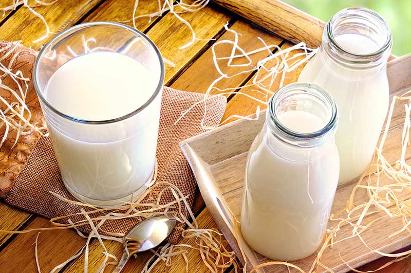 وصفة الزنجبيل مع اللبن والحليب للجنس